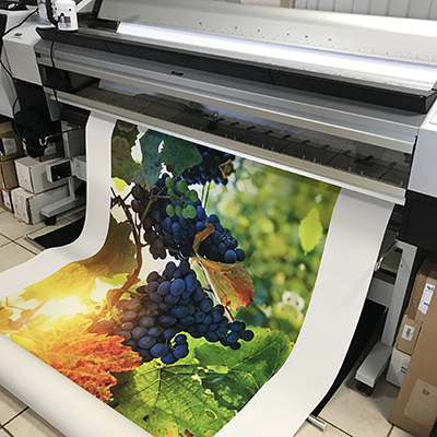 a photo of grapes being printed on canvas